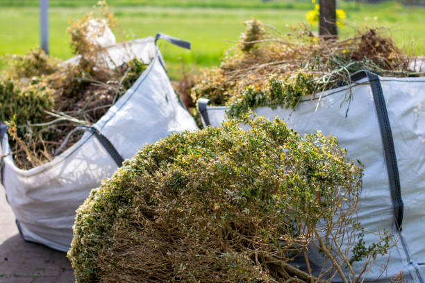 Attic Cleanout Services in Laporte, CO